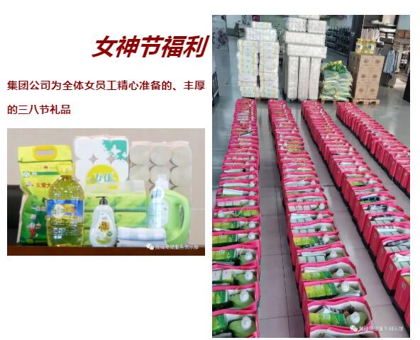 QQ截圖20210310095357 16153412631476.jpg